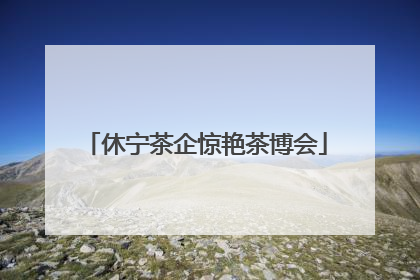 休宁茶企惊艳茶博会