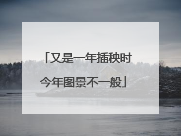又是一年插秧时 今年图景不一般