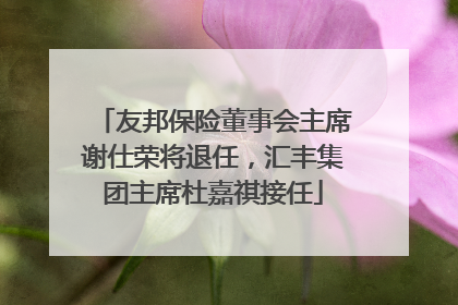 友邦保险董事会主席谢仕荣将退任，汇丰集团主席杜嘉祺接任