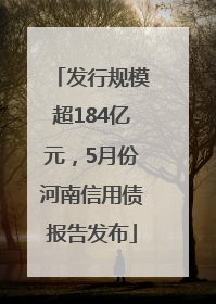 发行规模超184亿元，5月份河南信用债报告发布