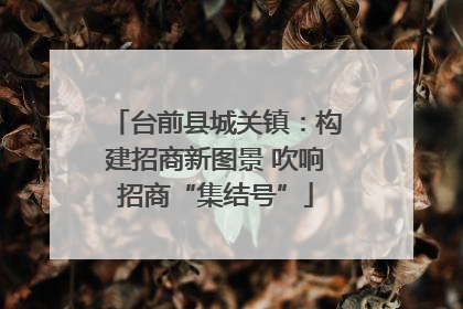 台前县城关镇：构建招商新图景 吹响招商“集结号”