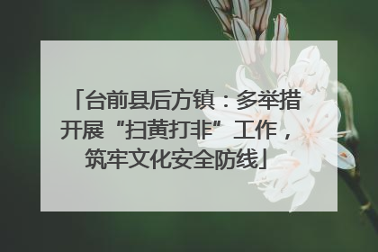 台前县后方镇：多举措开展“扫黄打非”工作，筑牢文化安全防线