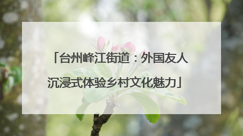 台州峰江街道：外国友人沉浸式体验乡村文化魅力
