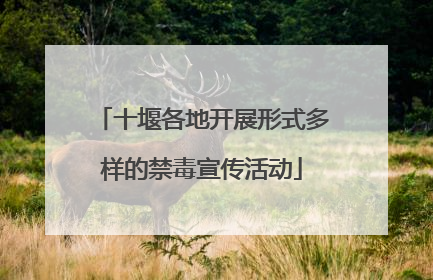 十堰各地开展形式多样的禁毒宣传活动