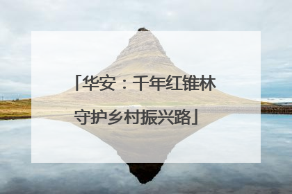 华安：千年红锥林守护乡村振兴路