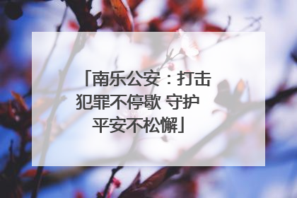 南乐公安：打击犯罪不停歇 守护平安不松懈