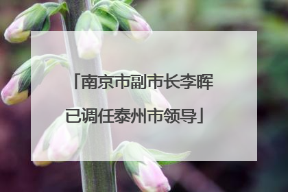 南京市副市长李晖已调任泰州市领导
