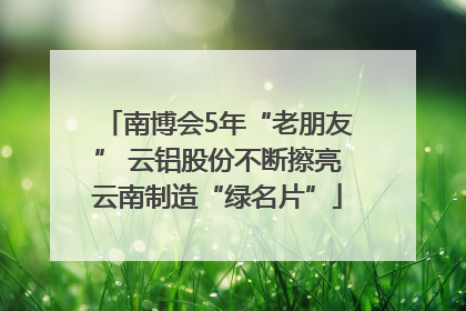 南博会5年“老朋友” 云铝股份不断擦亮云南制造“绿名片”