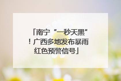 南宁“一秒天黑”！广西多地发布暴雨红色预警信号