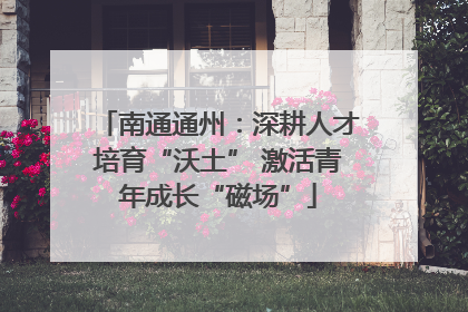 南通通州：深耕人才培育“沃土” 激活青年成长“磁场”