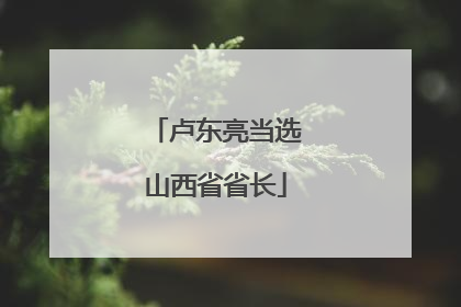 卢东亮当选山西省省长