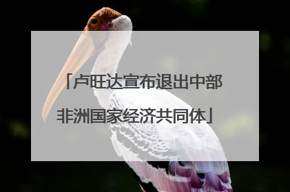 卢旺达宣布退出中部非洲国家经济共同体