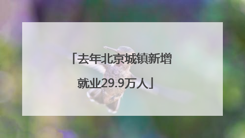 去年北京城镇新增就业29.9万人
