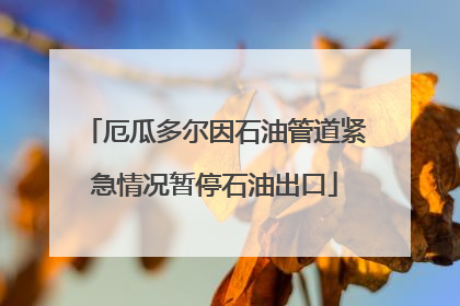 厄瓜多尔因石油管道紧急情况暂停石油出口