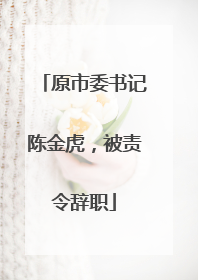 原市委书记陈金虎，被责令辞职