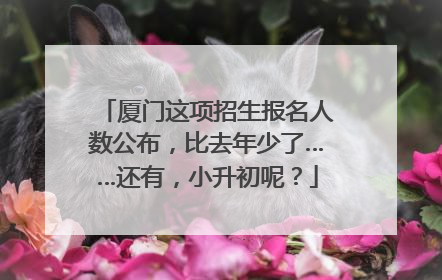 厦门这项招生报名人数公布，比去年少了……还有，小升初呢？
