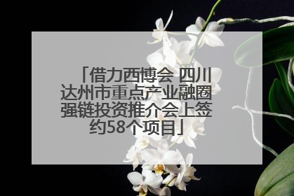 借力西博会 四川达州市重点产业融圈强链投资推介会上签约58个项目