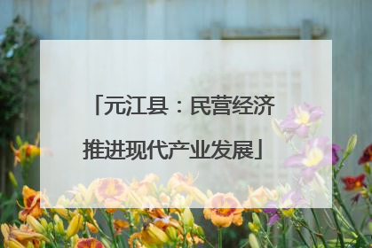 元江县：民营经济推进现代产业发展