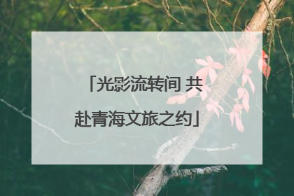 光影流转间 共赴青海文旅之约