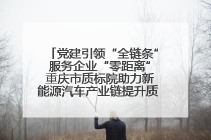 党建引领“全链条” 服务企业“零距离” 重庆市质标院助力新能源汽车产业链提升质量管理水平