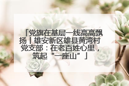 党旗在基层一线高高飘扬丨雄安新区雄县黄湾村党支部：在老百姓心里，筑起“一座山”