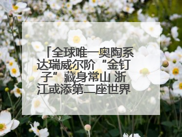 全球唯一奥陶系达瑞威尔阶“金钉子”藏身常山 浙江或添第二座世界地质公园