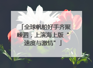全球帆船好手齐聚嵊泗，上演海上版“速度与激情”