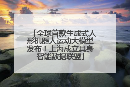 全球首款生成式人形机器人运动大模型发布！上海成立具身智能数据联盟