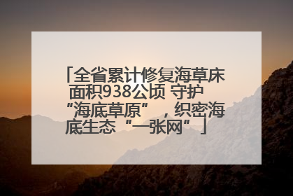全省累计修复海草床面积938公顷 守护“海底草原”，织密海底生态“一张网”