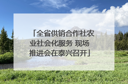 全省供销合作社农业社会化服务 现场推进会在泰兴召开