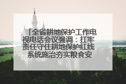 全省耕地保护工作电视电话会议强调：扛牢责任守住耕地保护红线 系统施治夯实粮食安全根基 王宁作出批示 王予波出席并讲话
