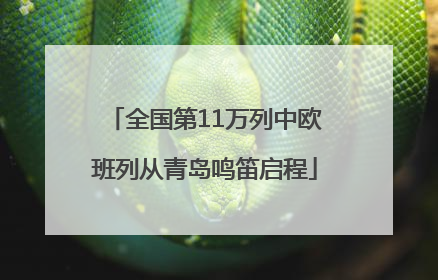 全国第11万列中欧班列从青岛鸣笛启程