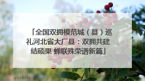 全国双拥模范城（县）巡礼河北省大厂县：双拥共建结硕果 蝉联殊荣谱新篇