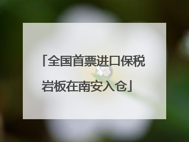 全国首票进口保税岩板在南安入仓