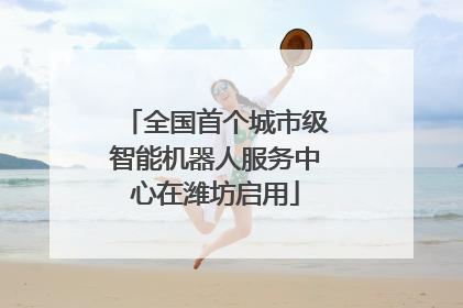 全国首个城市级智能机器人服务中心在潍坊启用