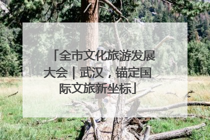 全市文化旅游发展大会｜武汉，锚定国际文旅新坐标