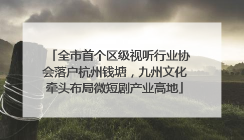 全市首个区级视听行业协会落户杭州钱塘，九州文化牵头布局微短剧产业高地