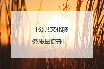 公共文化服务质量提升