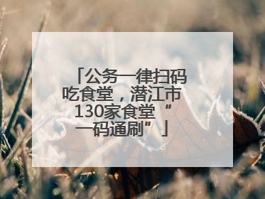 公务一律扫码吃食堂，潜江市130家食堂“一码通刷”