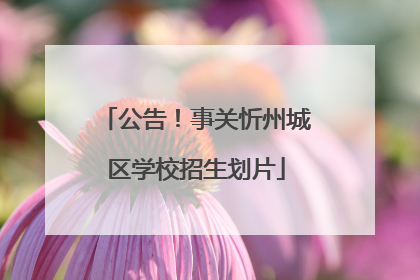 公告！事关忻州城区学校招生划片
