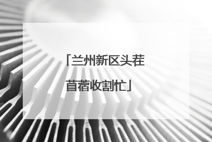 兰州新区头茬苜蓿收割忙