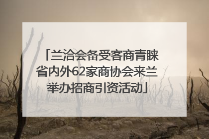 兰洽会备受客商青睐 省内外62家商协会来兰举办招商引资活动