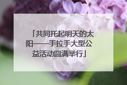 共同托起明天的太阳——手拉手大型公益活动圆满举行