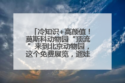 冷知识+高颜值！莫斯科动物园“顶流”来到北京动物园，这个免费展览，遛娃拍照两不误！