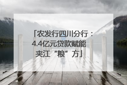 农发行四川分行：4.4亿元贷款赋能夹江“粮”方