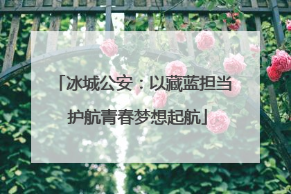 冰城公安：以藏蓝担当 护航青春梦想起航