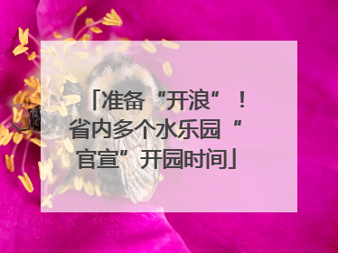 准备“开浪”！省内多个水乐园“官宣”开园时间