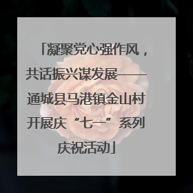 凝聚党心强作风，共话振兴谋发展——通城县马港镇金山村开展庆“七一”系列庆祝活动