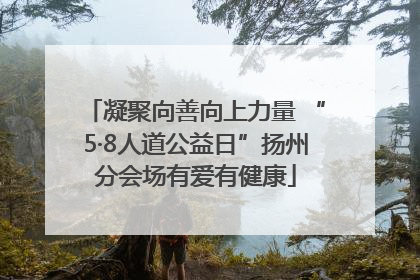 凝聚向善向上力量 “5·8人道公益日”扬州分会场有爱有健康