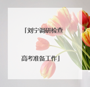 刘宁调研检查高考准备工作